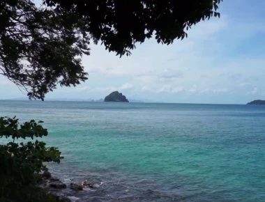 Τουρίστες αδυνατούν να περιμένουν και... έρχονται σε επαφή σε θάλασσα της Ταϊλάνδης (βίντεο)